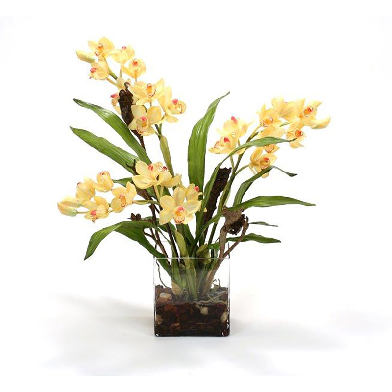 Distinctive Designs Waterlook Silk Orchid Plant in Rectangular Vase